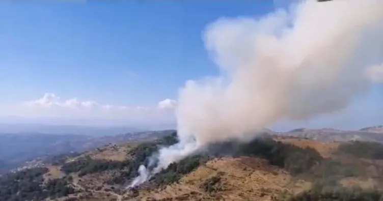 İzmir’de orman yangını