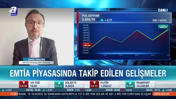 Emtia Piyasaları Uzmanı Zafer Ergezen: Küresel paladyum talebi artacak