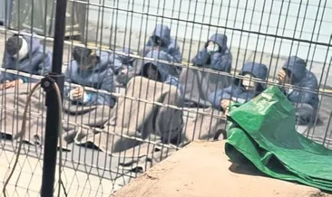 Tecavüzcü askerlerı affettıler