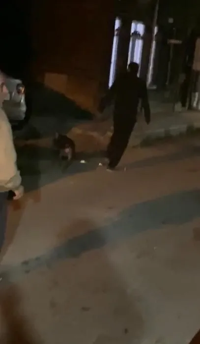 İstanbul’da dehşet anları! Sokak ortasında tartıştı: Üzerine pitbull ile saldırdı