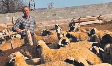 Çoban çiftin evlat gururu #aksaray