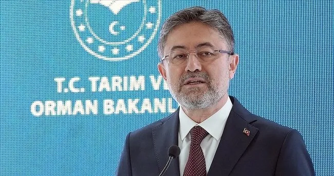 Bafra ve Çaycuma Sera OTB’lerinde üretim başladı