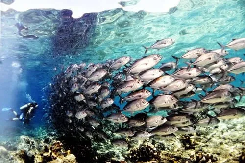 Bodrum'dan etkileyici fotoğraflar