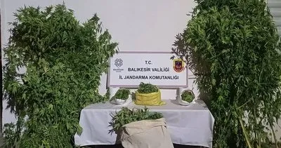 Gönen’de Kamu arazisinde kenevir bitkisi yetiştiren şüpheliler yakalandı #balikesir