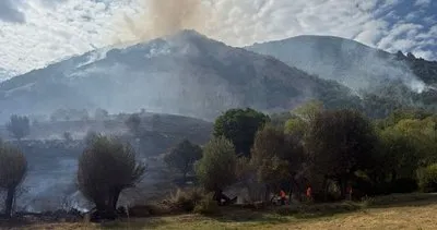 Tunceli ile Bingöl sınırındaki yangına müdahale sürüyor #tunceli