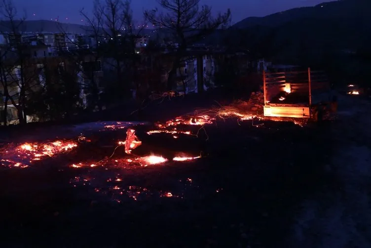 Son dakika! Hatay'daki yangında son durum! Bakan Pakdemirli'den yangında sabotaj iddialarına açıklama