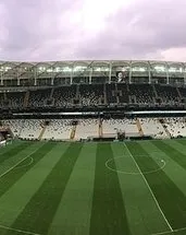 Beşiktaş’ın stadını martılar bastı