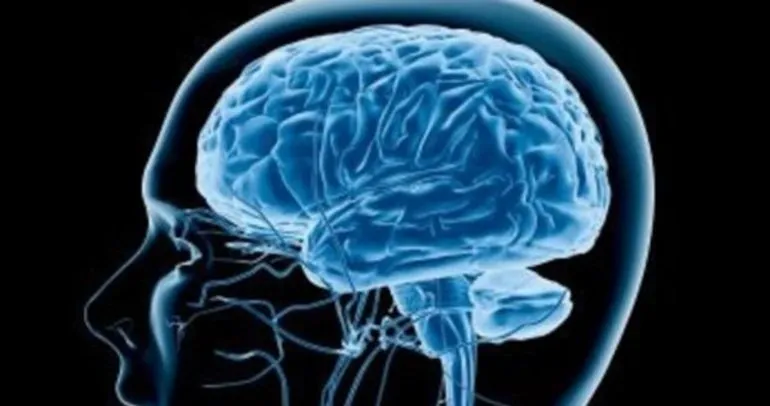 Saglikli Bir Beyin Icin Yapilmasi Gerekenler Nelerdir Son Dakika Haberler