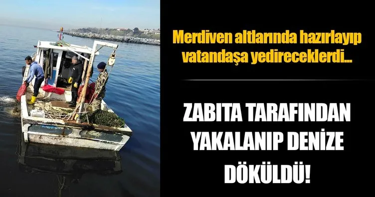 İstanbul zabıtasından kaçak midye avcılarına operasyon