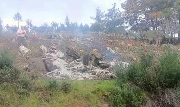 Bodrum’da hazine arazisindeki ağaçları kesip yaktılar: 20 gözaltı