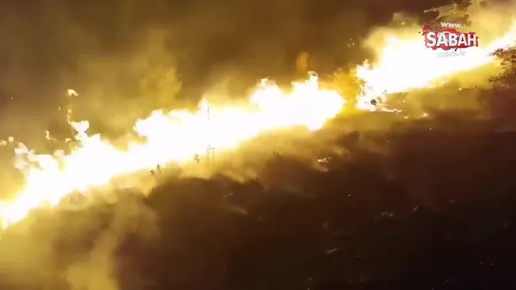 İkizce’de korkutan yangın | Video