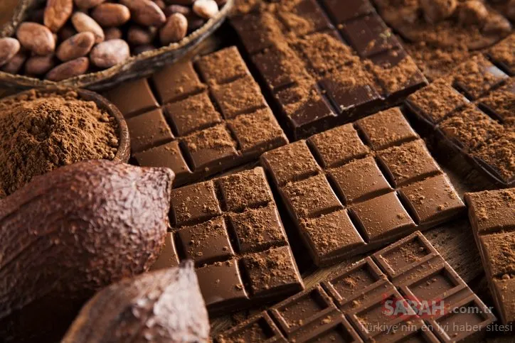 Çok fazla çikolata yemek ölüme neden olur mu? Araştırmacılar bakın ne dedi...