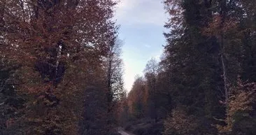 Karadeniz'in Nebiyan Dağı'nda sonbahar!