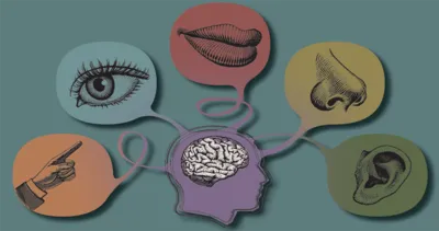 Duyu organlarımızın görevi nelerdir?