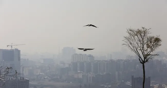 İran’da hava kirliliğinin azaltılması için yeni tedbirler alınıyor: Tahran pilot bölge olacak