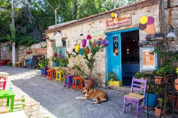 kalbinizi-egede-birakacak-rota-kisin-ortasinda-bahar-masali-yasayacaksiniz-1740223679353.jpg