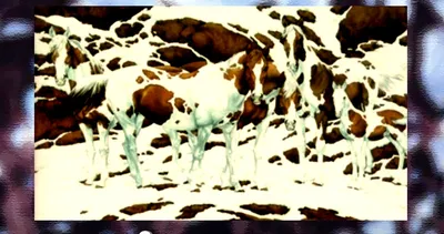 Resimde kaç tane at görüyorsunuz? Ressamla bilim insanları birbirine girdi…