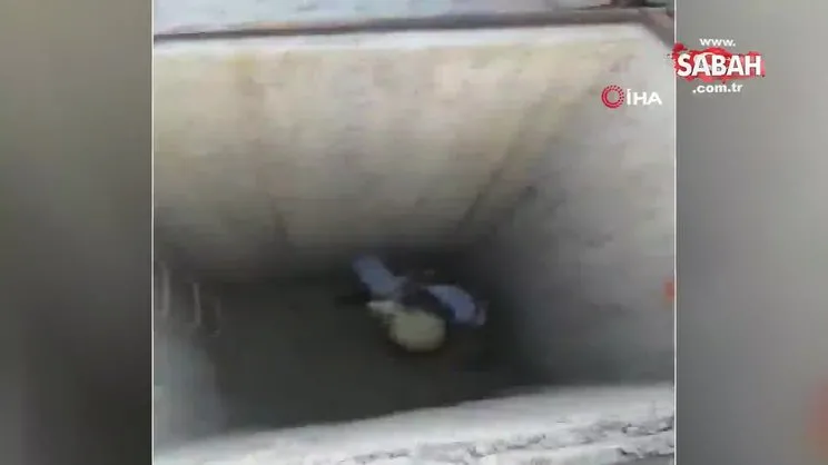 Resulayn’da PKK’ya ait tünel bulundu
