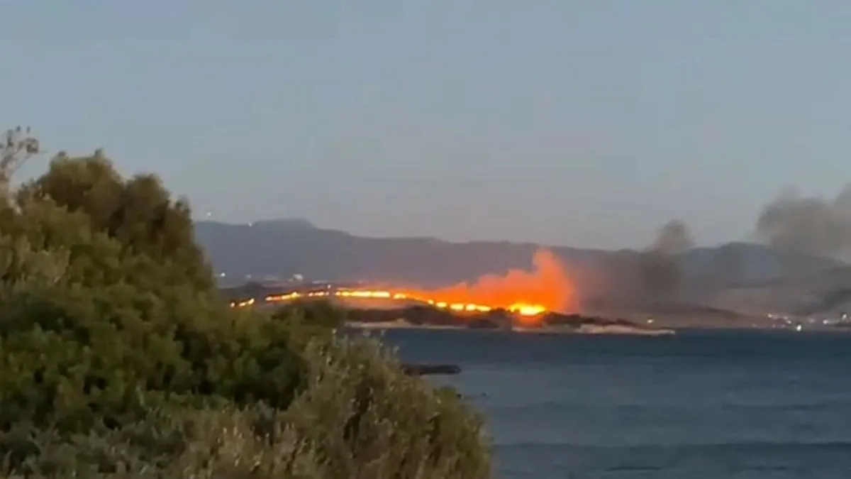 İzmir Aliağa'daki yangın kontrol altına alındı
