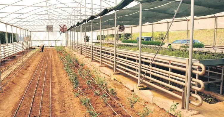 Akıllı seralar verimliliği artıracak