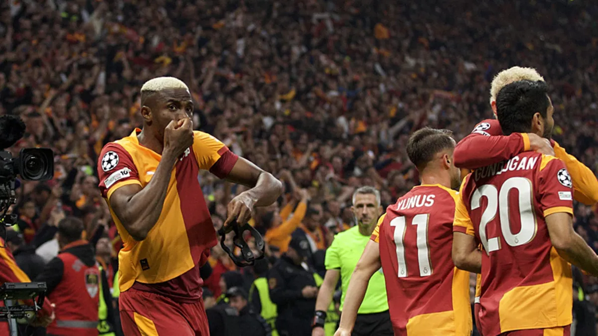 2025 Springbok Rugby Schedule: Key Dates, Venues, and Matches Across ...