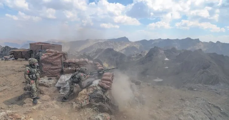 33 hain etkisiz hale getirildi