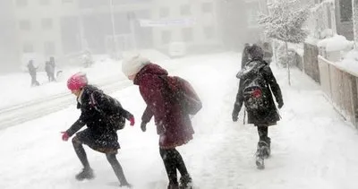 Ağrı’da okullar 2 gün daha tatil edildi- Kar tatili hangi illeri kapsıyor.