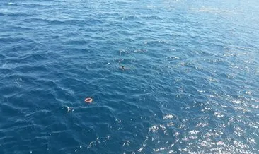 Denizde sürüklenen dalgıç feribottan atılan can simidiyle kurtarıldı