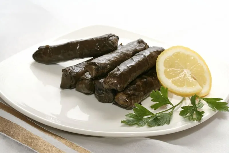 dolma sarma tarifleri