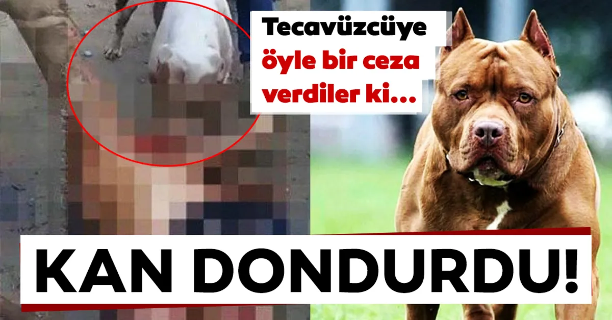 son dakika haberi tecavuzcuye