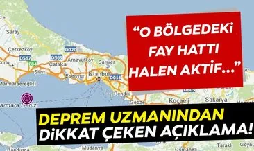 SON DAKİKA HABERİ: Deprem uzmanından korkutan Marmara depremi açıklaması! “ O bölgedeki fay hattı halen aktif...