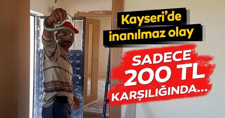 Kayseri’de şaşırtan olay! Eve giren yılanı elleriyle yakalayıp, doğaya bıraktı