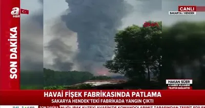 Son dakika: Sakarya Hendek’te havai fişek fabrikasında patlamalar devam ediyor! Patlama anları kamerada | Video