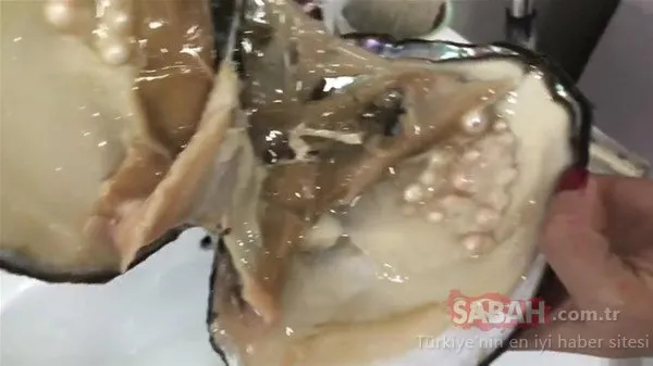 İçinden çıkanlar şoke etti!