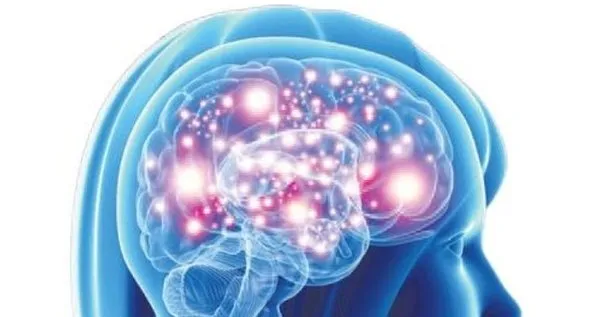 Beyne ilaç veren beyin implantı geliştirildi