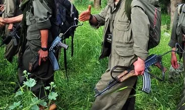 PKK, uluslararası açıdan kabul görmüş bir narkoterör örgütü