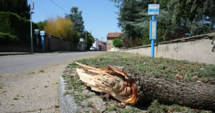 Fransa’yı kasırga vurdu: 41 yaralı