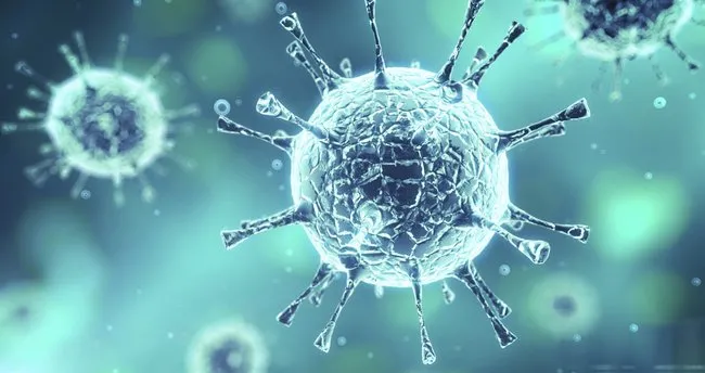SON DAKİKA HABERİ: Otopsi bulgularında korkunç gerçek ortaya çıktı! Corona virüsü neden öldürüyor? Dünya bunu konuşuyor