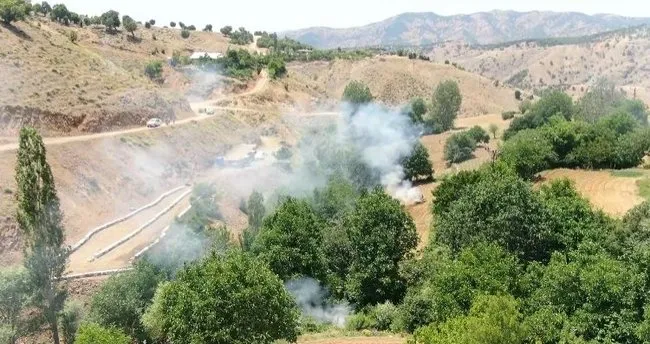 Diyarbakır’da uyuşturucuya tarihi darbe! 12 milyon kök kenevir imha edildi
