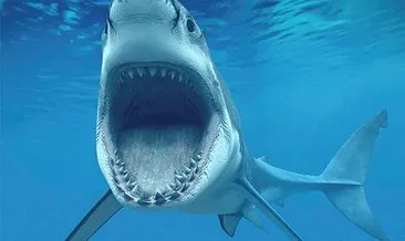 Hawaii’de köpekbalığı saldırısı