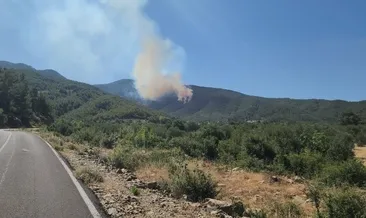 Hatay’da orman yangını çıktı