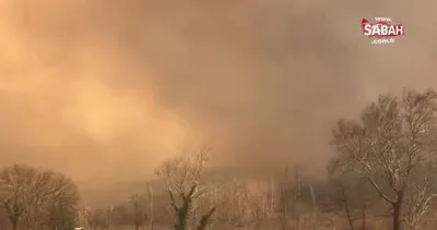 SON DAKİKA: Çanakkale Kazdağları’nda yangın | Video