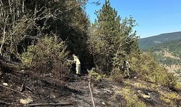 Kastamonu’da orman yangını: 2 dekar alan zarar gördü! #kastamonu