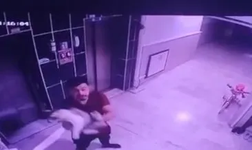 Hamile kediyi önce kameralara gösterdi ardından yere fırlattı #konya