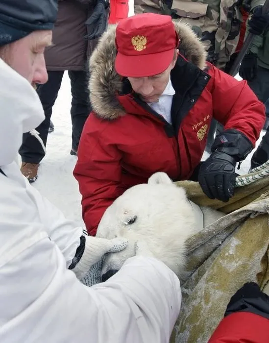 Putin ve kutup ayıları...