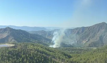 Muğla Dalaman’da orman yangını: Ekipler alevlere müdahale ediyor!