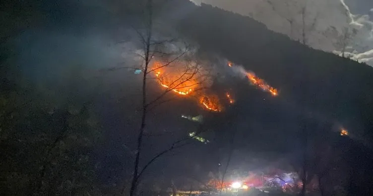 Trabzon’da orman ve örtü yangınları çıktı