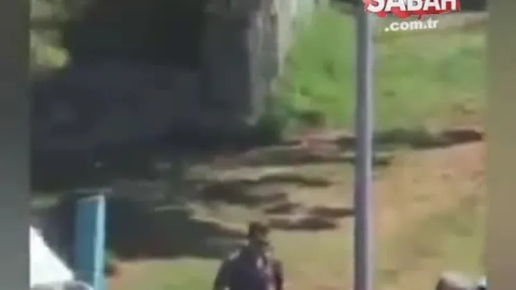 Kadıköy Moda Sahili’nde tasmasız köpek dehşeti! Yaşlı çifte saldırdı: Korkunç görüntüler | Video