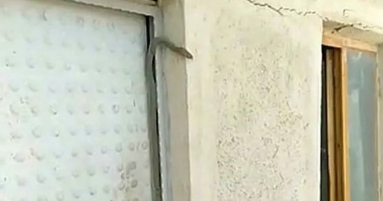 Kapıya tırmanan yılan korkuttu