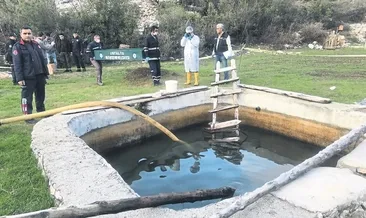 Ölüm bile ayıramadı